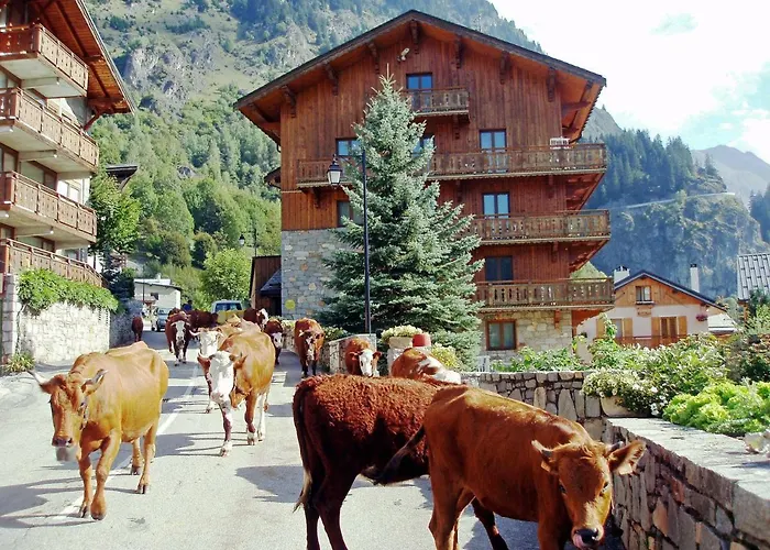 Apartament Les Du Bouquetin - Loir *