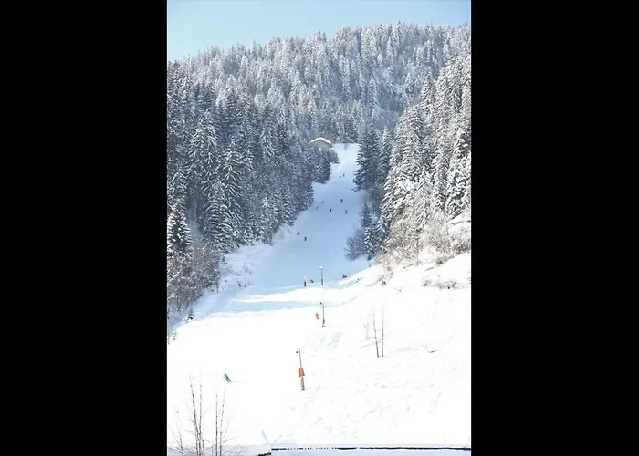 Les Du Bouquetin - Loir * La Plagne